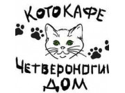 Котокафе Четвероногий Дом